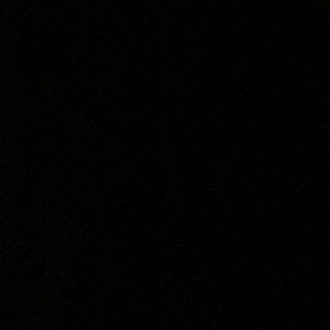 Meet your Posher, Bella